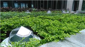 廣發(fā)銀行光導照明應用 廣發(fā)銀行光導照明應用